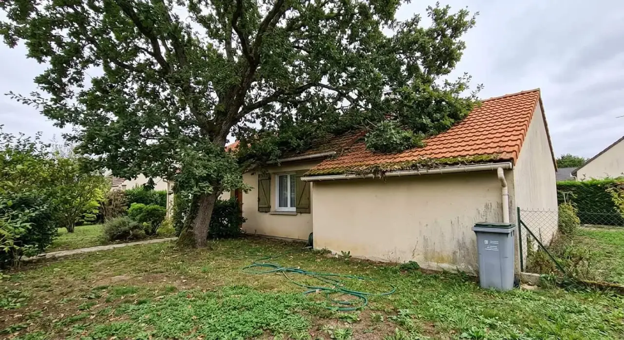 Chêne dont les grosses branches reposent sur la toiture, avant élagage